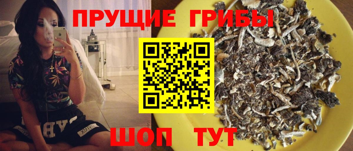 Канабис Нарткала