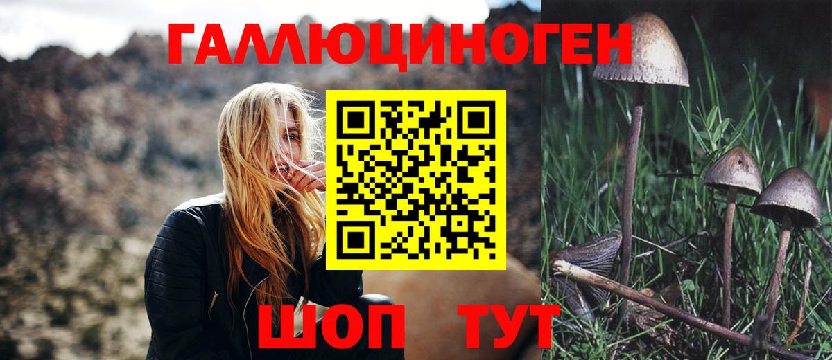 Галлюциногенные грибы ЛСД  Галлюциногенные грибы прущие грибы  Вход с VPN  Нарткала 