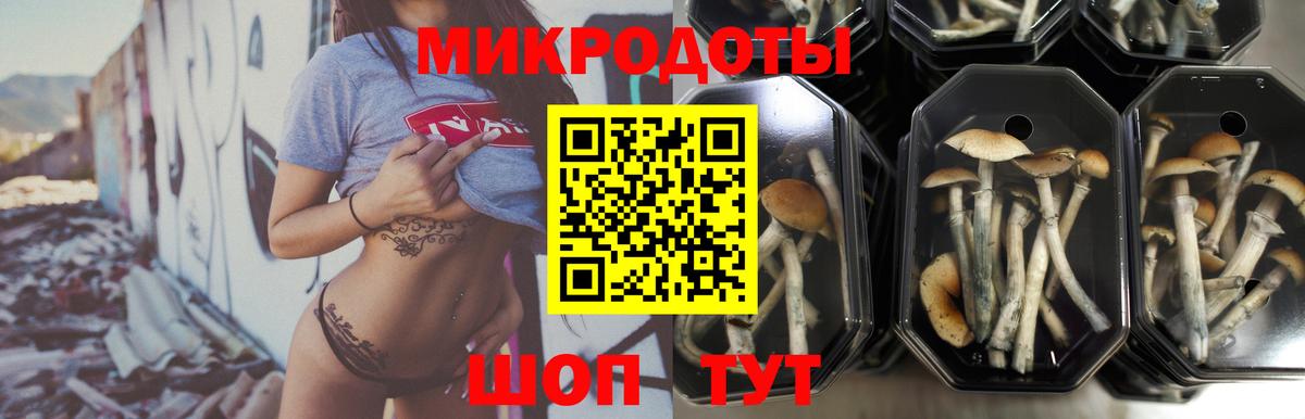 Галлюциногенные грибы GOLDEN TEACHER Нарткала